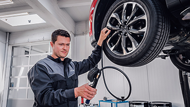 Touts servicio express serviciosexclusivos