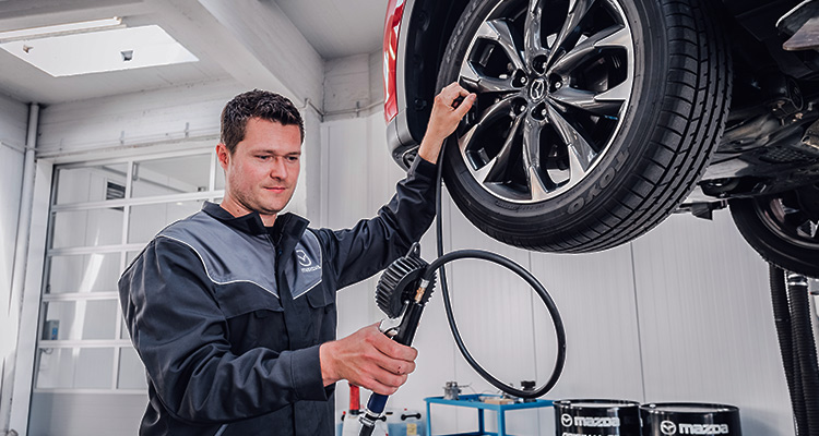 Servicioexpress hero fullbackground